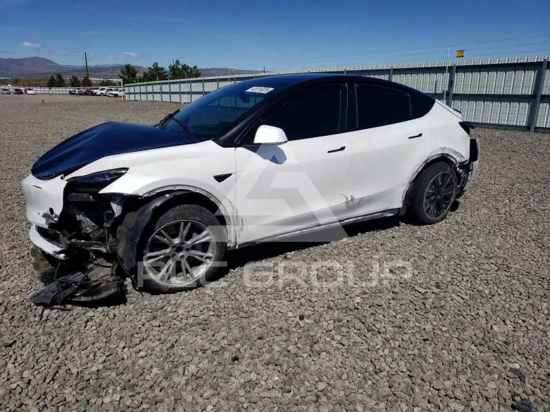 2021 Tesla Model Y фото
