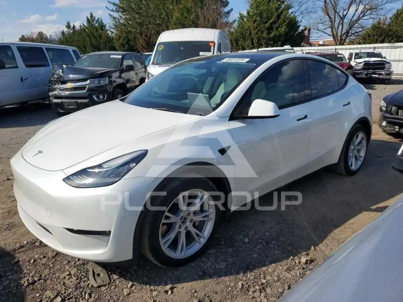 2021 Tesla Model Y фото