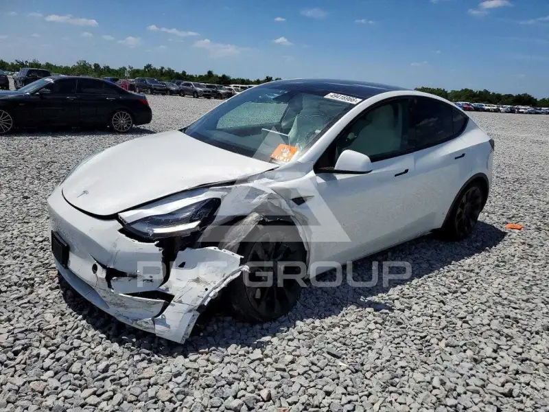 2021 Tesla Model Y photo