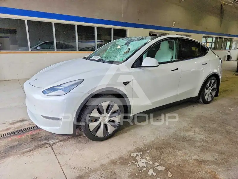2021 Tesla Model Y фото