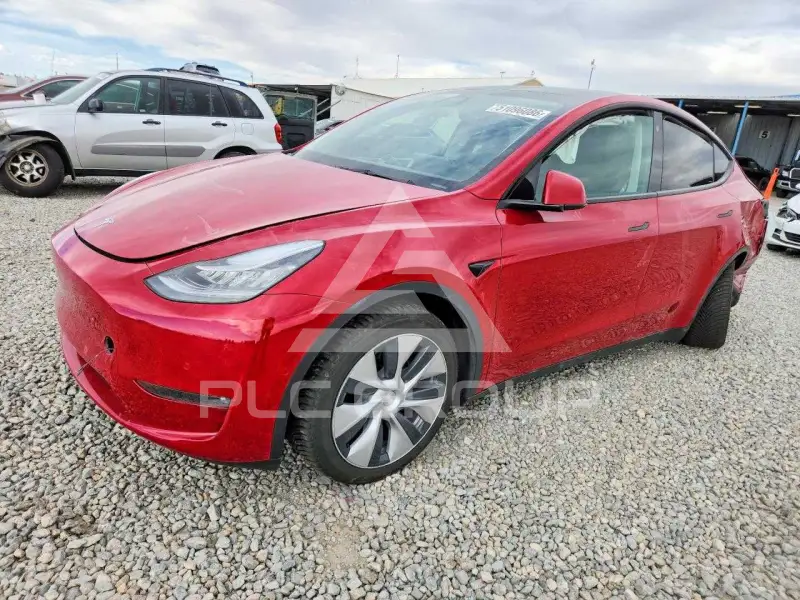 2021 Tesla Model Y фото