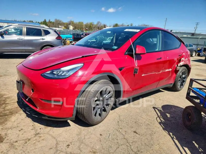 2021 Tesla Model Y фото