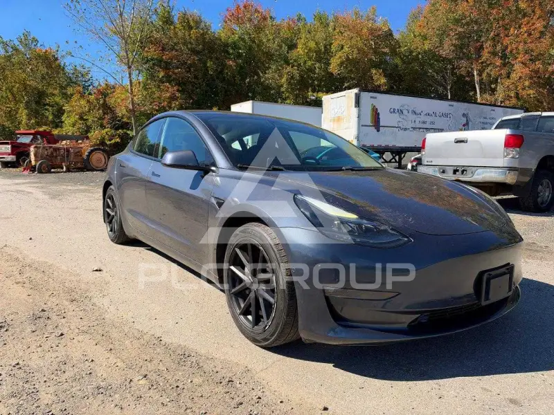 2021 Tesla Model 3 фото