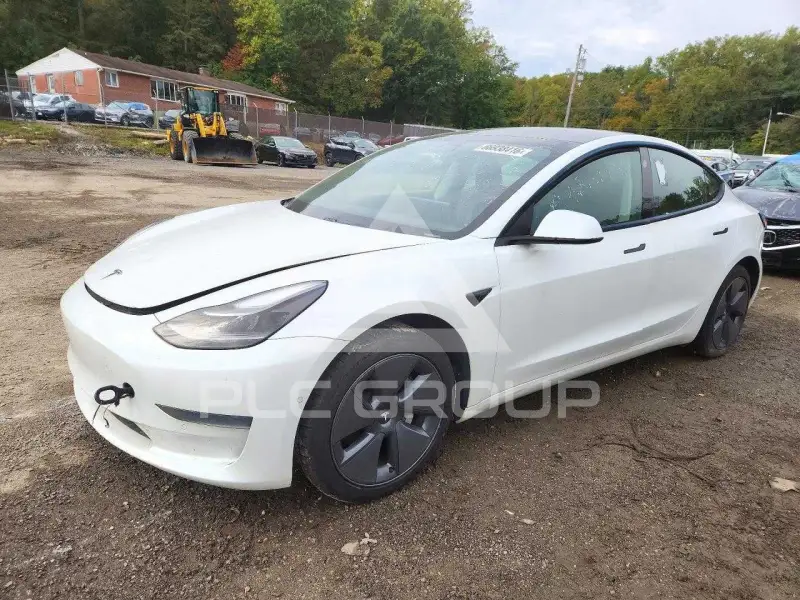 2021 Tesla Model 3 photo