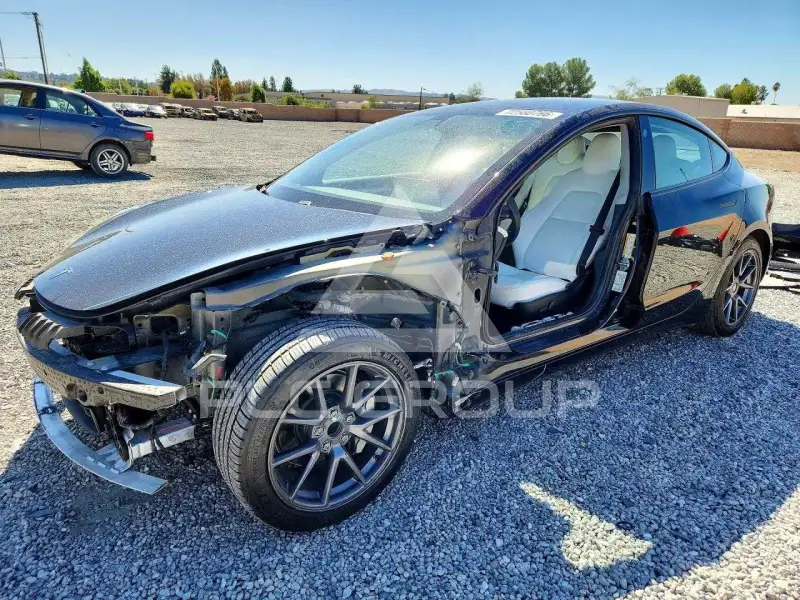 2021 Tesla Model 3 photo