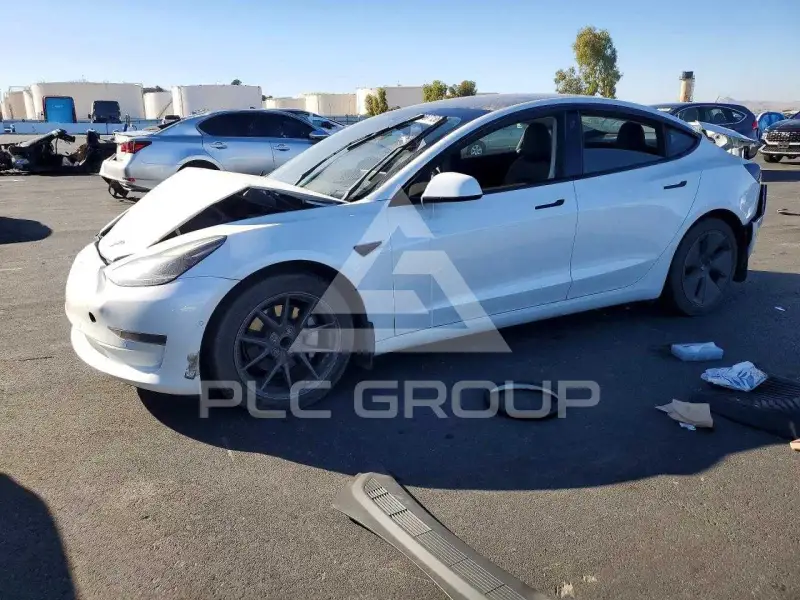 2021 Tesla Model 3 photo