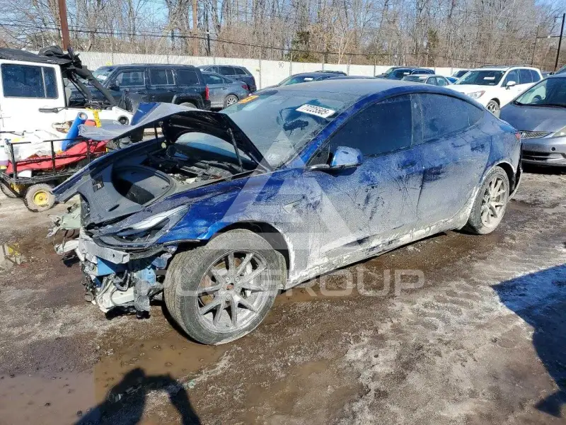 2021 Tesla Model 3 photo