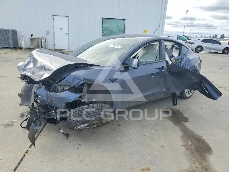 2021 Tesla Model 3 фото