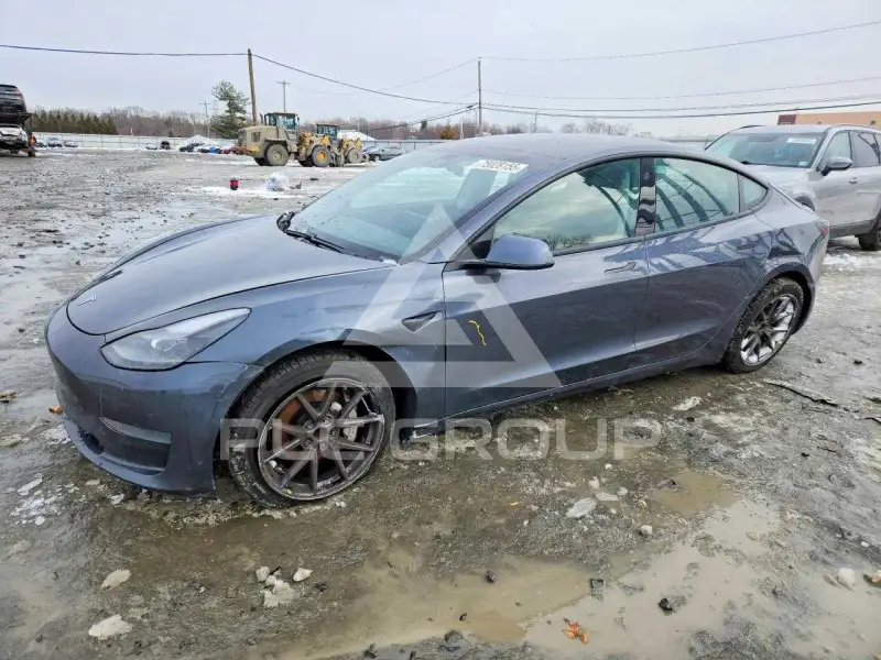 2021 Tesla Model 3 photo