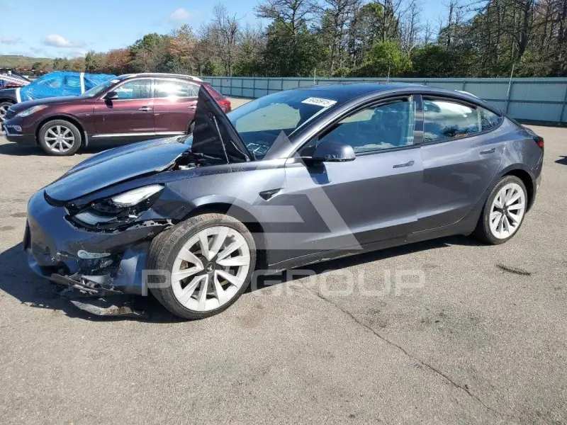 2021 Tesla Model 3 photo