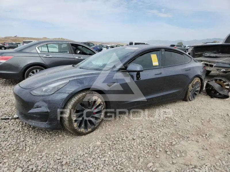 2021 Tesla Model 3 photo