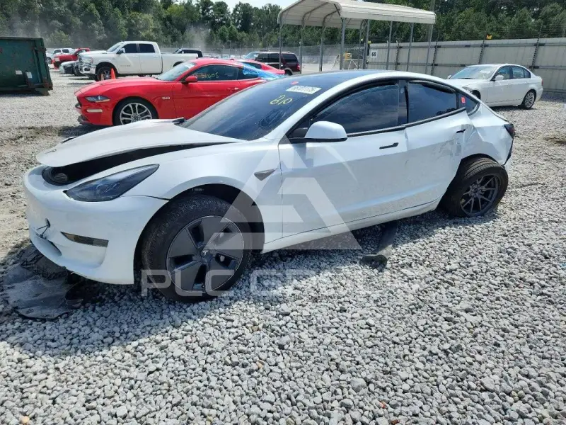 2021 Tesla Model 3 photo