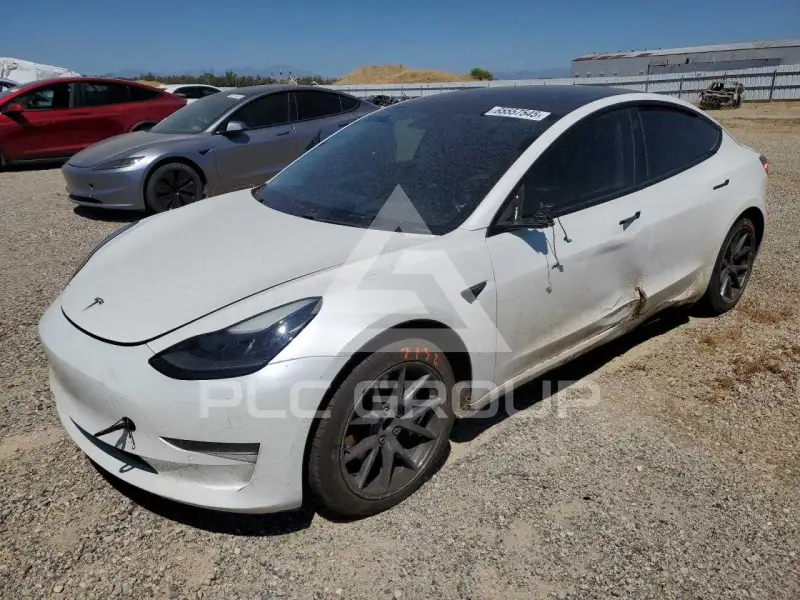 2021 Tesla Model 3 photo