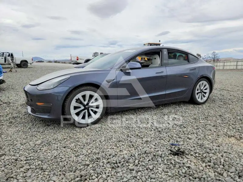 2021 Tesla Model 3 фото