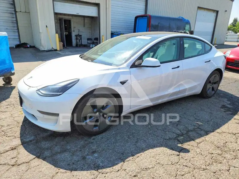 2021 Tesla Model 3 photo