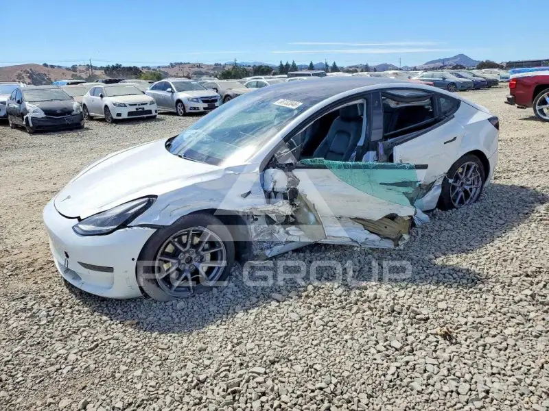 2021 Tesla Model 3 фото