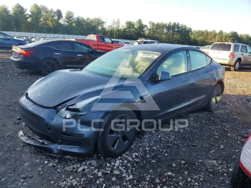 2021 Tesla Model 3 фото