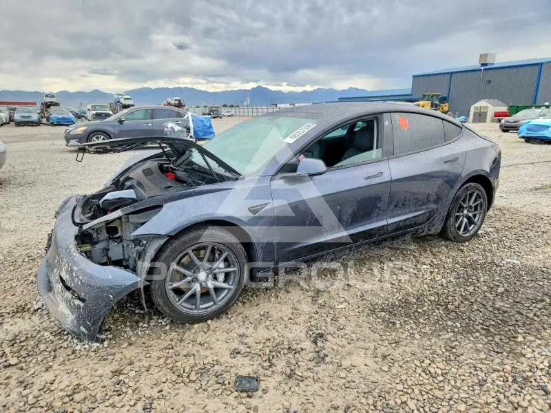 2021 Tesla Model 3 фото
