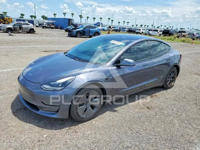 2021 Tesla Model 3 photo