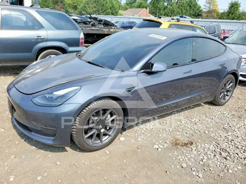2021 Tesla Model 3 фото