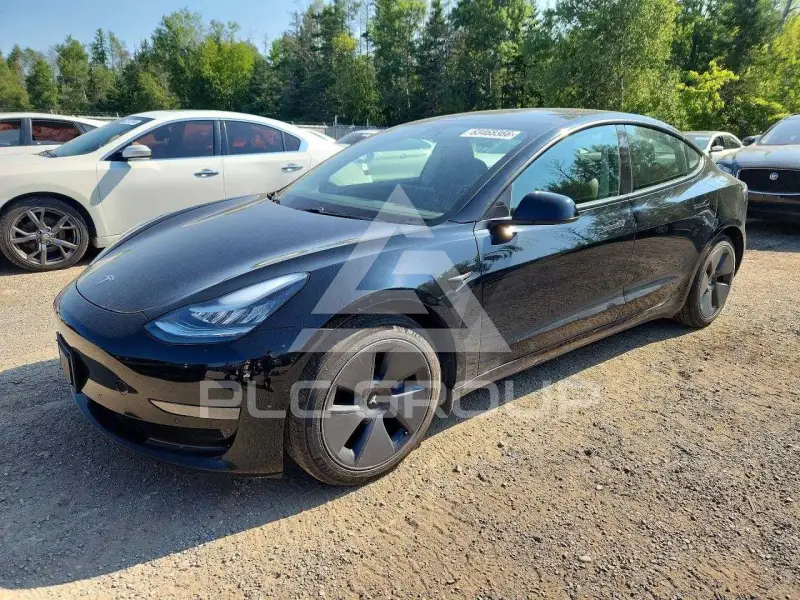 2021 Tesla Model 3 photo