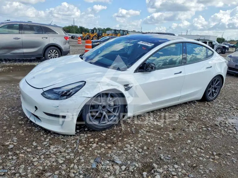 2021 Tesla Model 3 фото