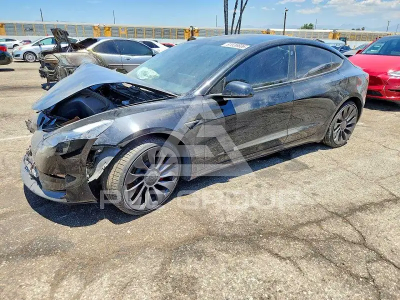 2021 Tesla Model 3 photo