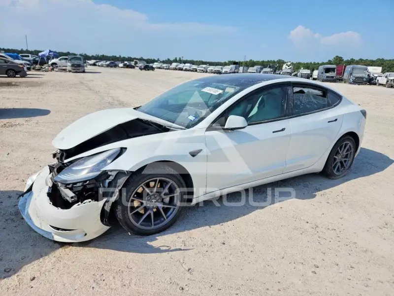 2021 Tesla Model 3 photo