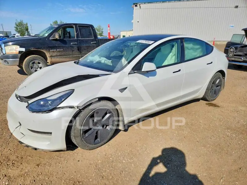 2021 Tesla Model 3 фото