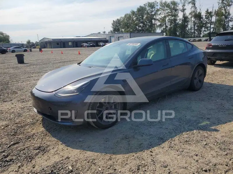 2021 Tesla Model 3 photo