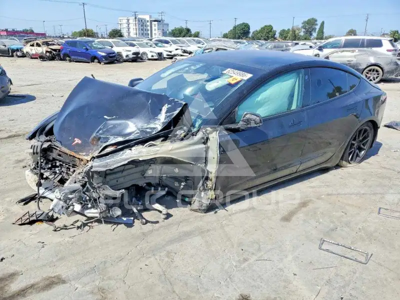 2021 Tesla Model 3 фото