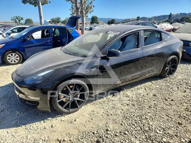 2021 Tesla Model 3 фото