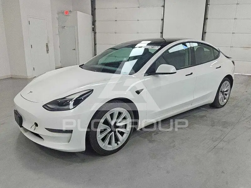 2021 Tesla Model 3 фото