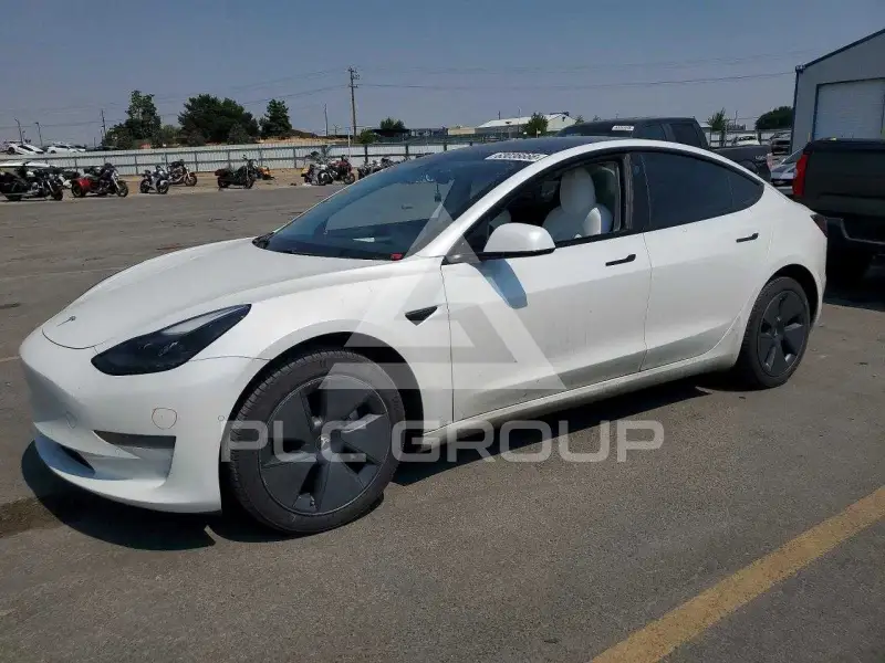 2021 Tesla Model 3 фото