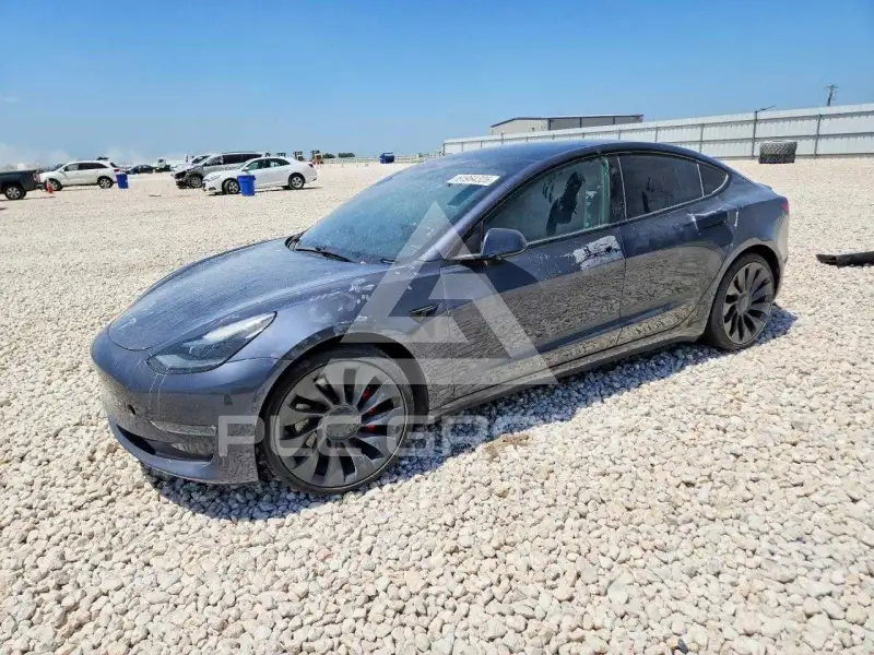 2021 Tesla Model 3 фото