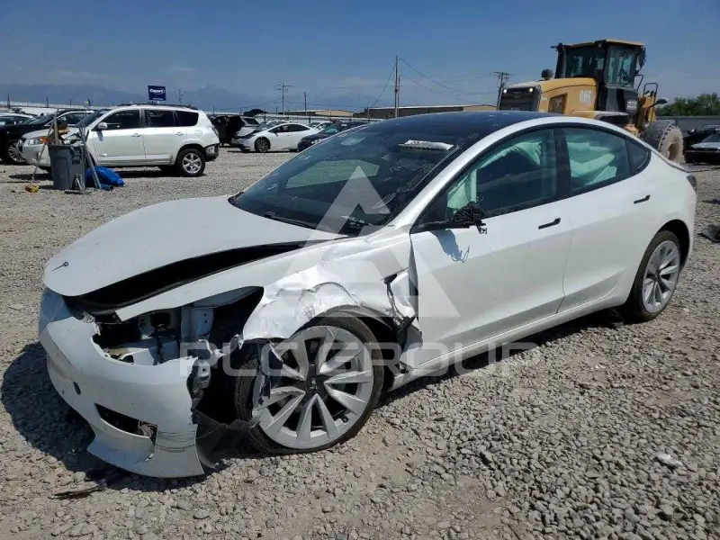 2021 Tesla Model 3 photo