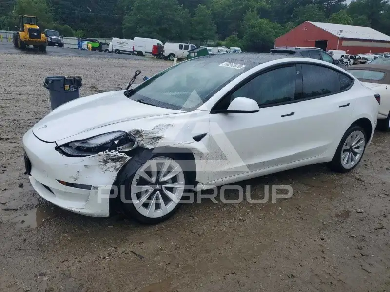 2021 Tesla Model 3 photo