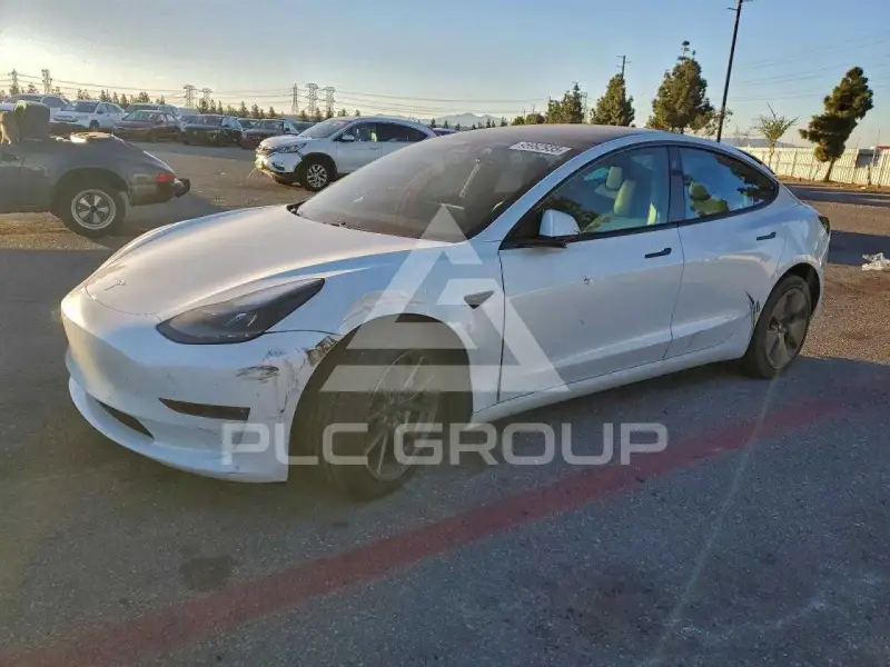 2021 Tesla Model 3 photo