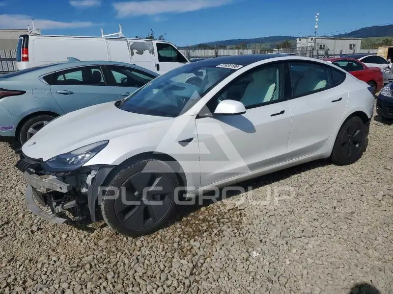 2021 Tesla Model 3 фото