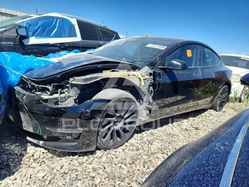 2021 Tesla Model 3 фото