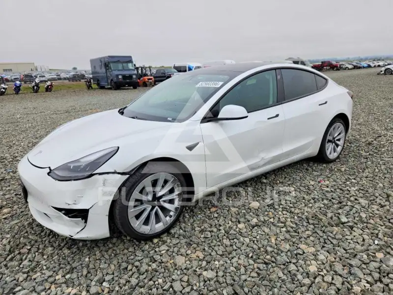 2021 Tesla Model 3 фото