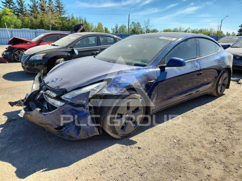 2021 Tesla Model 3 фото