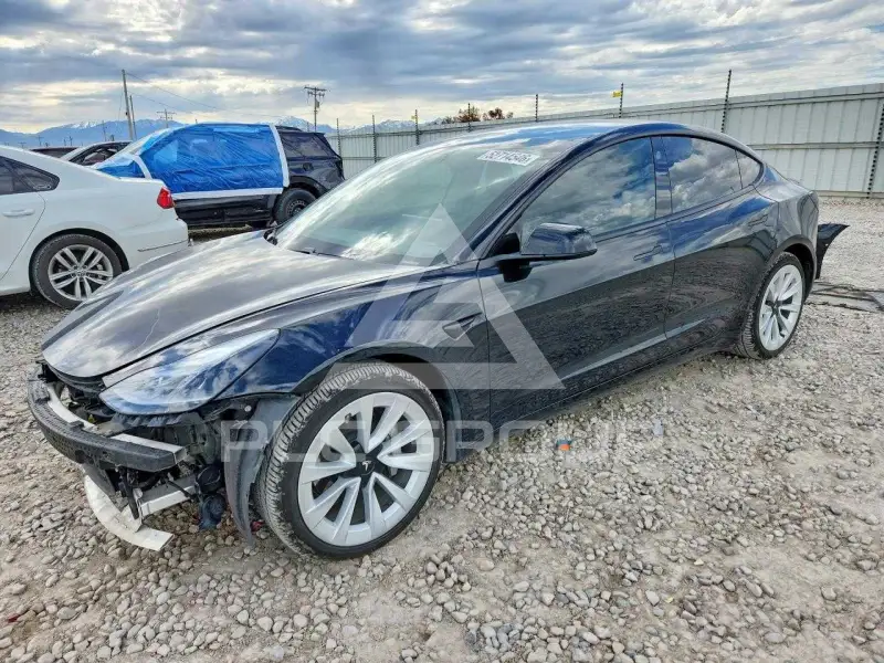 2021 Tesla Model 3 фото