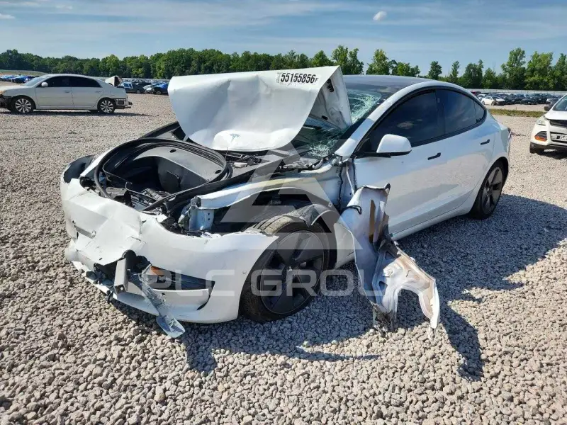2021 Tesla Model 3 photo