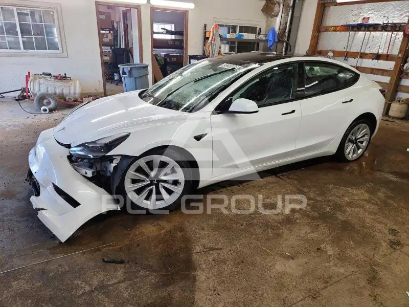 2021 Tesla Model 3 photo