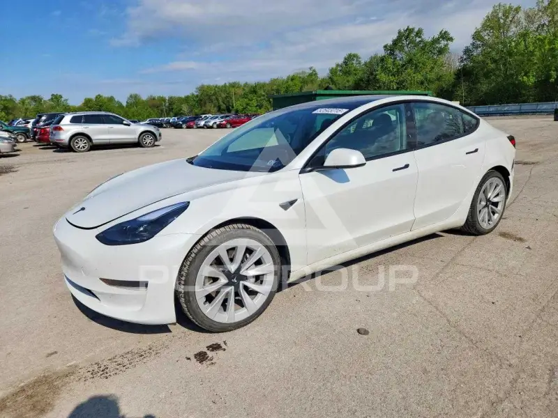 2021 Tesla Model 3 фото