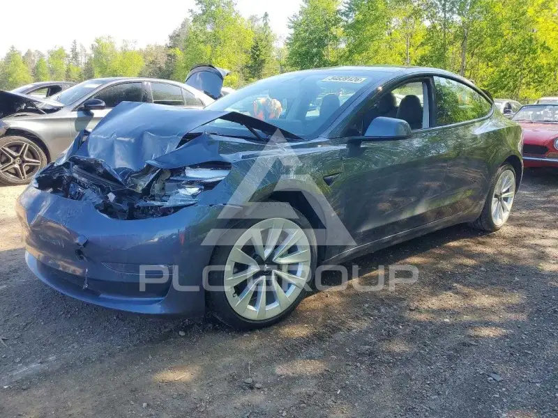 2021 Tesla Model 3 фото
