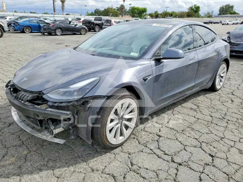 2021 Tesla Model 3 фото