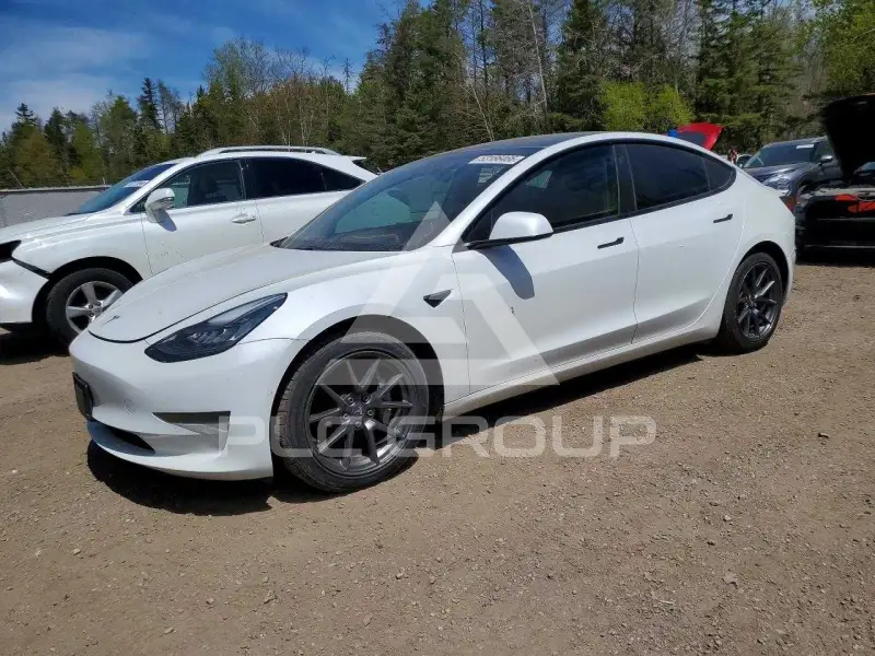 2021 Tesla Model 3 фото