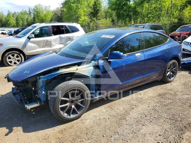 2021 Tesla Model 3 фото